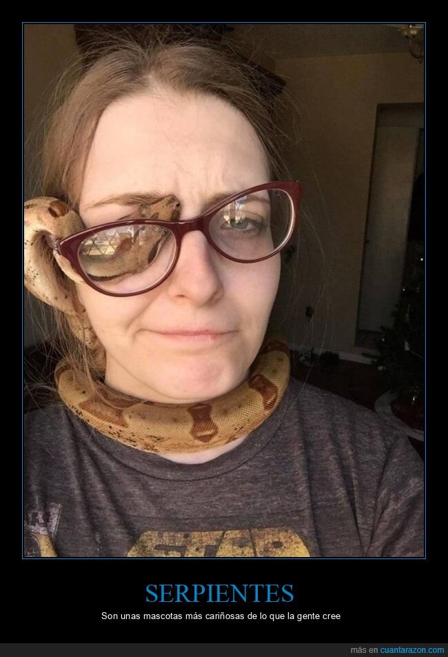 serpiente,mascota,ojo,gafas