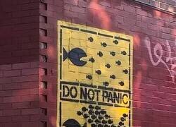 Enlace a Solo hay que organizarse