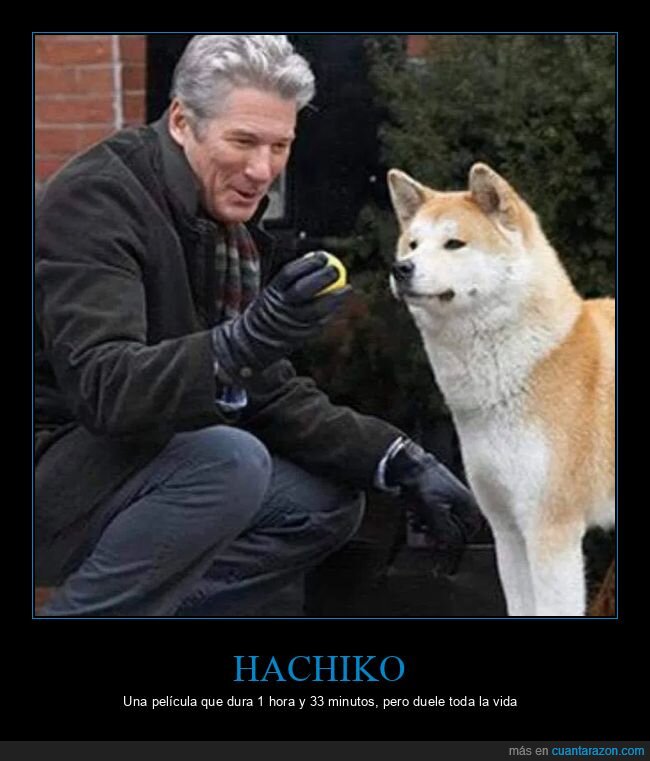 doler,hachiko,perros