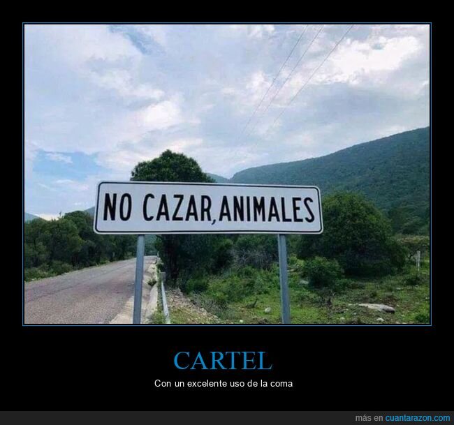 animales,carteles,cazar,coma