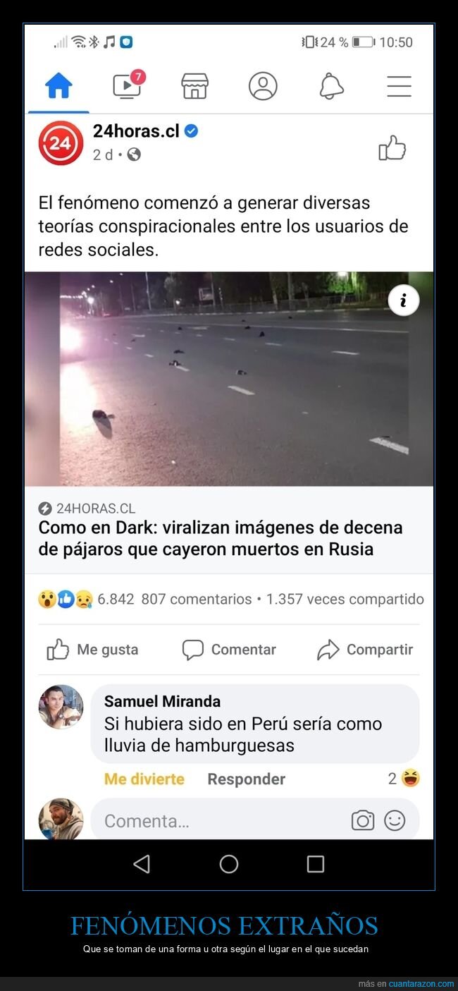 comentarios,lluvia de albóndigas,muertos,pájaros,perú