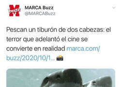 Enlace a Un poco de clickbait