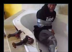 Enlace a Sueño vegano