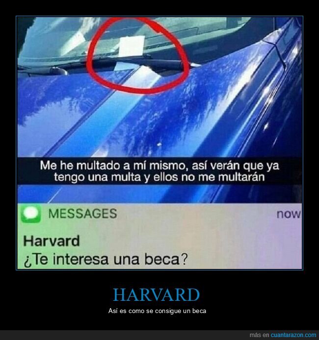 coches,harvard,multa