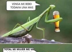 Enlace a De perdidos al río