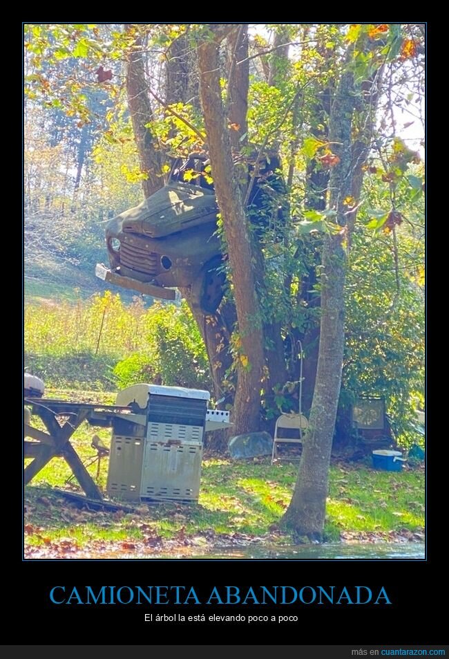 camioneta,abandonada,árbol