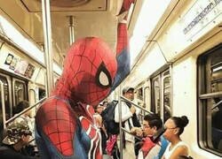 Enlace a Estúpido y sensual Spiderman...