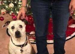 Enlace a Su cara es un poema