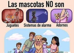 Enlace a Trátalos como merecen