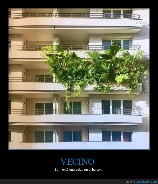 balcón,plantas,wtf