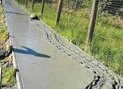 Enlace a Lo ha hecho para fastidiar