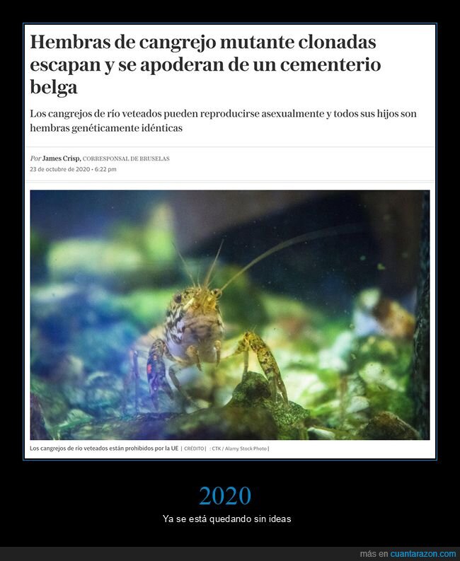 2020,cangrejos,cementerio,escapar,mutantes,wtf