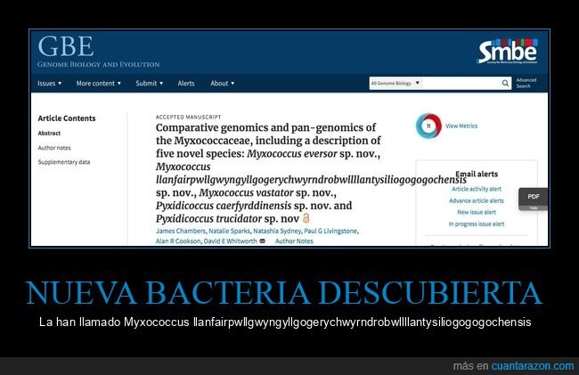 bacteria,nombre,largo,Myxococcus llanfairpwllgwyngyllgogerychwyrndrobwllllantysiliogogogochensis