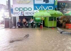 Enlace a No bastaba con la inundación...
