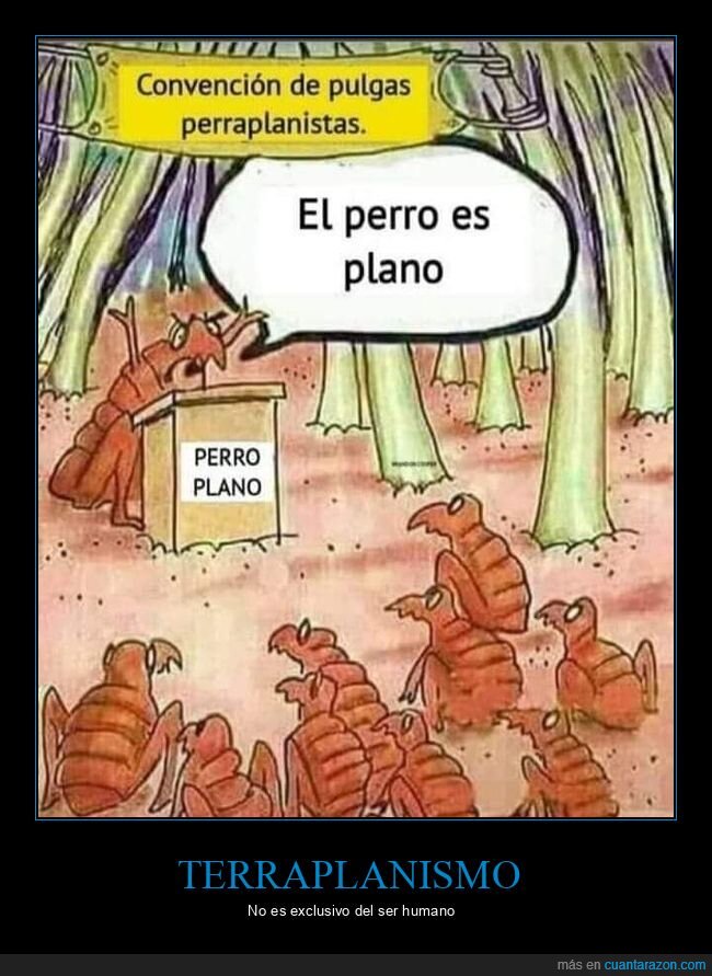 perros,pulgas,terraplanistas
