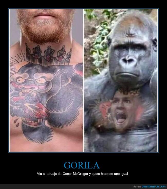 conor mcgregor,gorila,tattoo