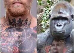 Enlace a La naturaleza imita al hombre