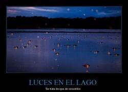 Enlace a Extrañas luces en el agua