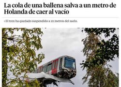 Enlace a Por los pelos