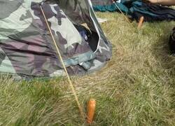 Enlace a Si parece estúpido pero funciona...