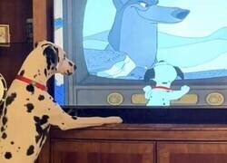 Enlace a La realidad imitando a la ficción