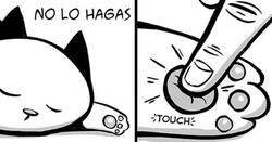 Enlace a Divertidos cómics sobre la realidad de vivir con un gato