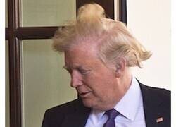 Enlace a El enemigo de Trump no es Biden, es el viento