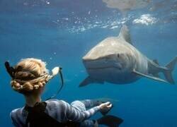 Enlace a Lo último que te quieres encontrar buceando