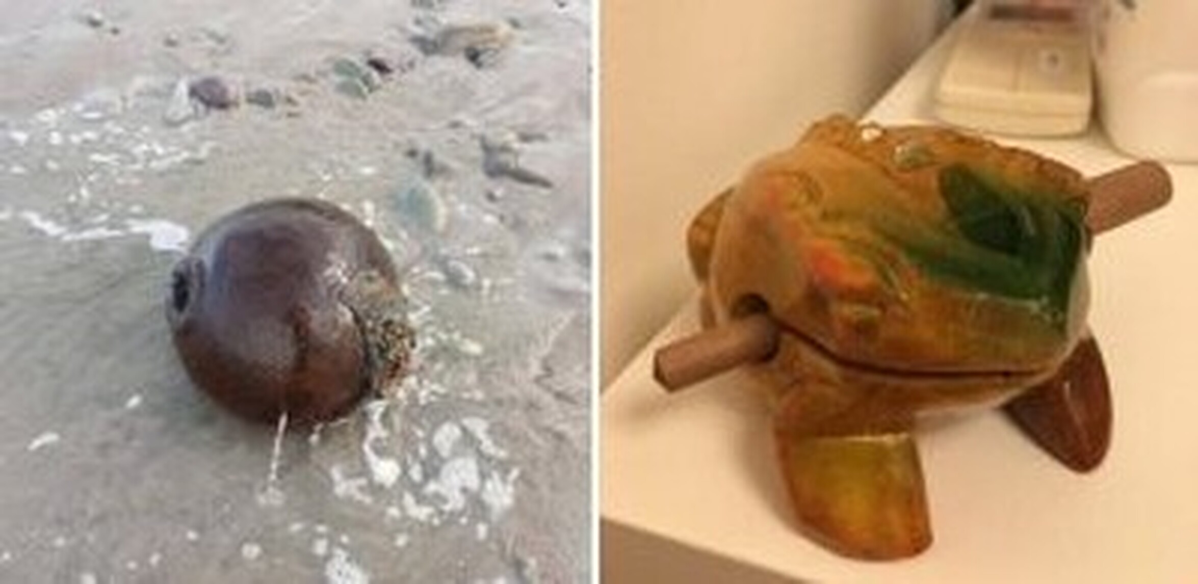 ¡Cuánta razón! / Hallazgos muy raros que fueron explicados gracias a ...
