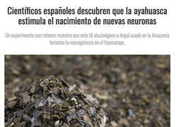 Enlace a Descubrimiento sorprendente