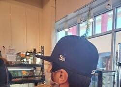 Enlace a Protege a los que más quieres