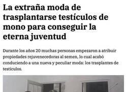 Enlace a El secreto mejor guardado