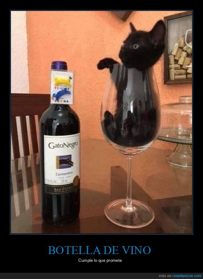 botella,vino,gato,negro,copa