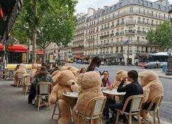 Enlace a Osos anti-covid