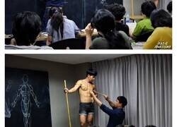 Enlace a Este artista es tan bueno en dibujo anatómico que ahora comparte sus conocimientos con sus alumnos