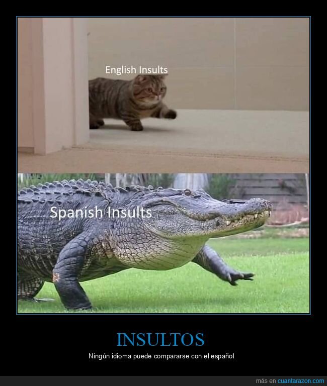 español,inglés,insultos