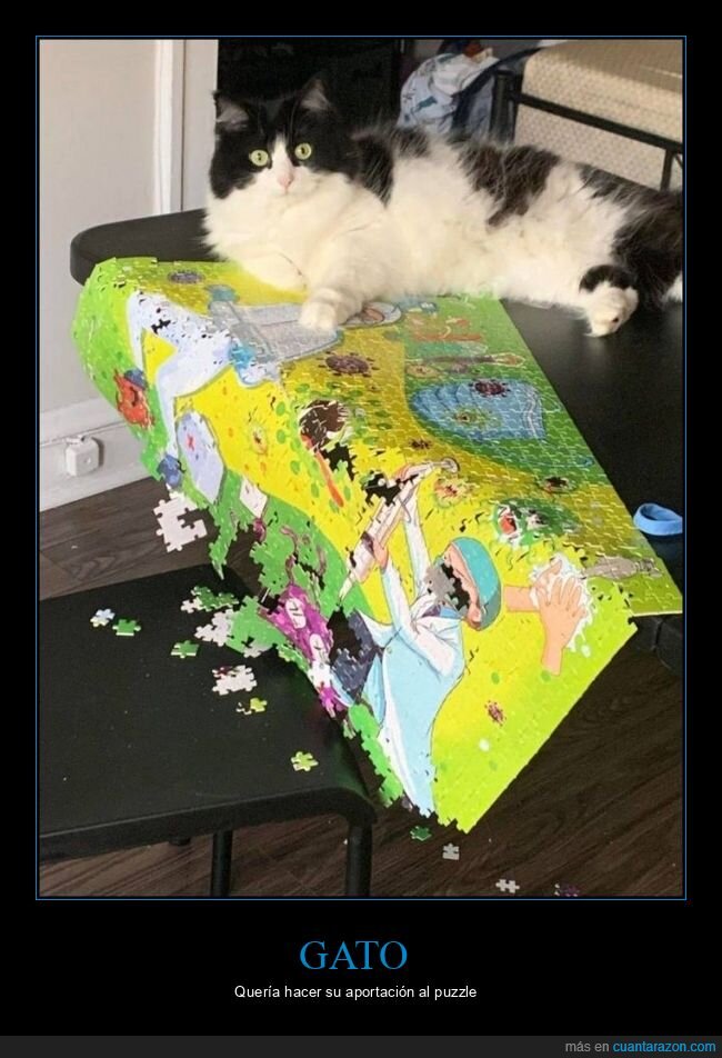 gato,puzzle,fails