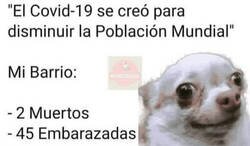 Enlace a Una teoría que hace aguas