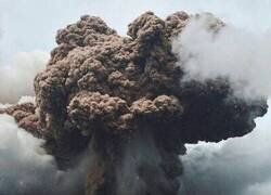 Enlace a A la carrera