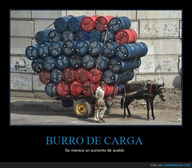 burro,carga,wtf