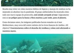 Enlace a La vergonzosa consecuencia de la pandemia: el mar está lleno de mascarillas y guantes