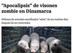 Enlace a El ataque de los visones zombie