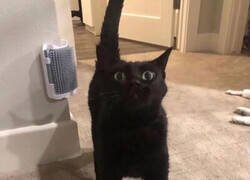 Enlace a Lo justo y necesario