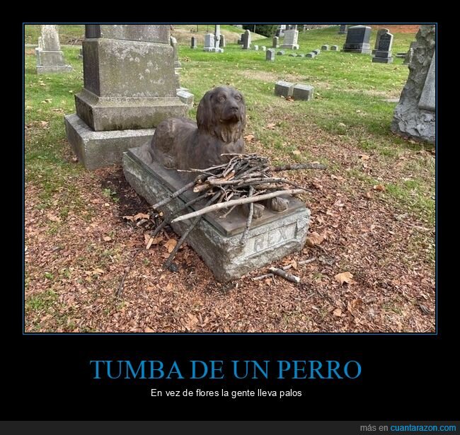 tumba,perro,palos