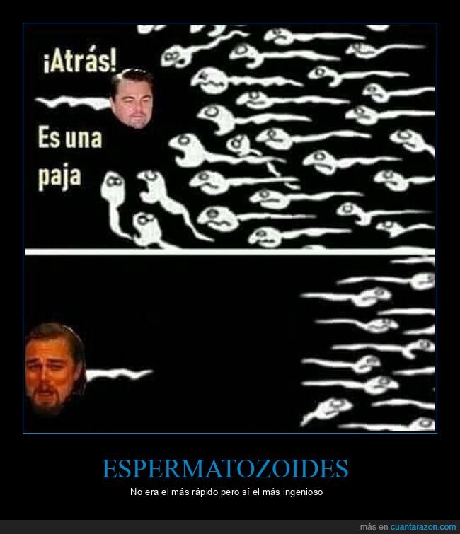 espermatozoides,leonardo dicaprio,paja