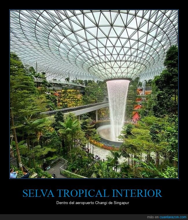 selva,interior,aeropuerto,singapur