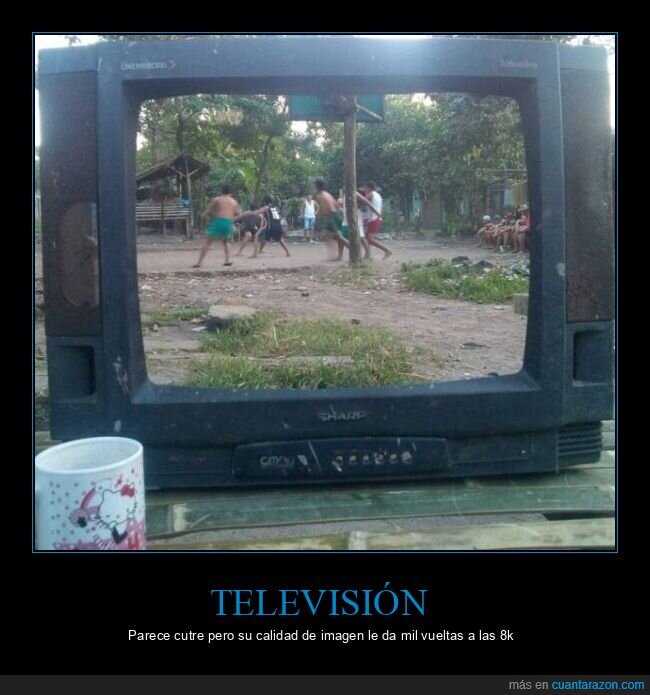televisión,calidad