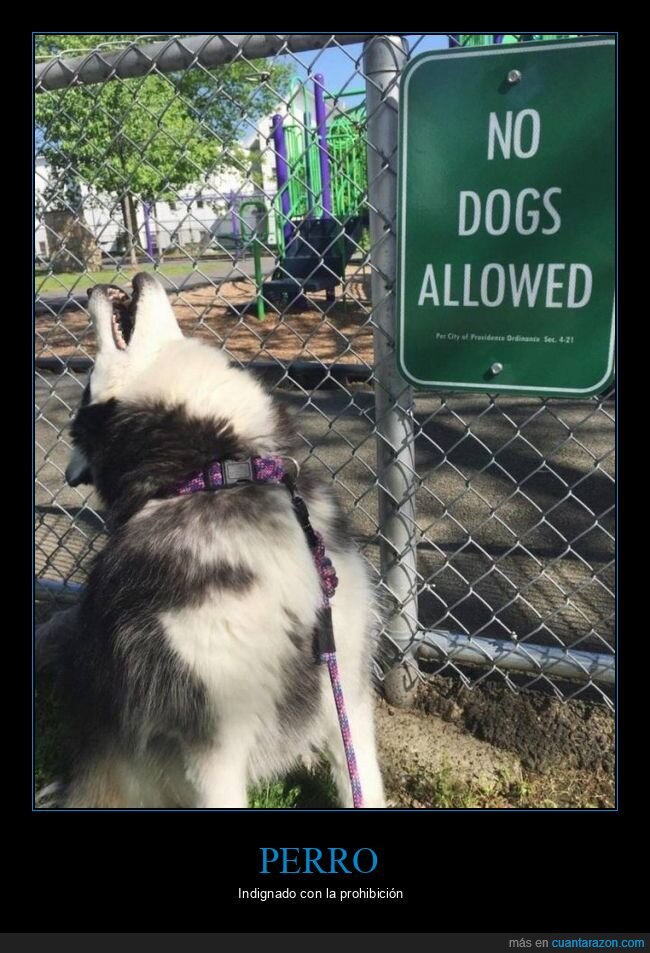 perro,cartel,parque,prohibición