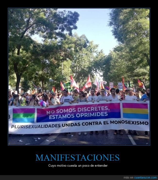 manifestación,monosexismo,plurisexualidades,wtf