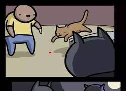 Enlace a No se pierde nada por intentarlo